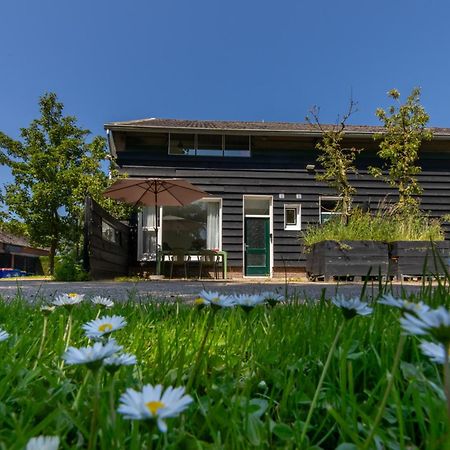Beneden appartement Kon. Emmaweg 6, Vrouwenpolder Buitenkant foto